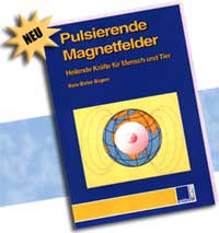 Pulsierende_Magnetfelder1 Pulsierende_Magnetfelder1